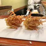 江戸前晋作 - 車海老 頭