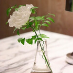 ドミニク・ブシェ トーキョー - 