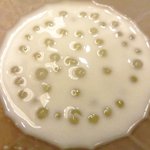 チャイナ 三丁目 - 【'12/12/21撮影】サービスランチ 1000円 のタピオカココナッツ