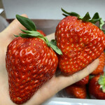 姫路ハートフル観光農園 - 