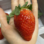 姫路ハートフル観光農園 - 