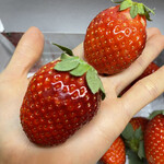 姫路ハートフル観光農園 - 