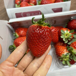 姫路ハートフル観光農園 - 