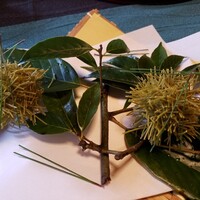 閑臥庵 - くりもどき