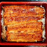 Unagi Hamana - 