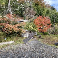 洋食 つばき - 