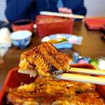 うなぎ亭 友栄 - うな重