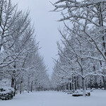 らー麺　Do・Ni・Bo - 今朝の山形県総合運動公園✨✨✨