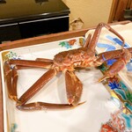 うを徳 - 茹で前　松葉蟹