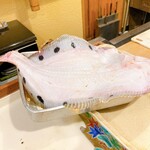 うを徳 - 星鰈　3.4㎏