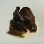 Restaurant Satoshi.F - 香茸とアカヤマドリダケのフリカッセ