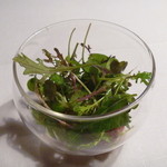 Restaurant Satoshi.F - 井深さんと梶谷さんの有機野菜のサラダ