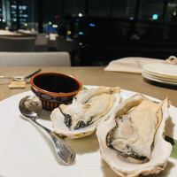 COLONIAL BEACH 横浜ハンマーヘッド - 