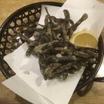 春のお店 - どじょう唐揚