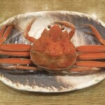 春のお店 - セイ甲カニ