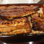 Unagi Ryourie Dogawa - 