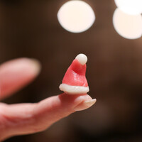 Itsuki - ２０２１年１２月再訪：サンタ帽子☆