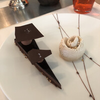 Benoit Alain Ducasse - 