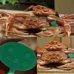 道人 - 間人蟹がこっちを見てます^ ^