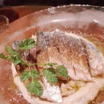 ブラーノブラーノ - 鯖のカルパッチョ770円（税込）