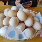 卵庵　はしたま - 