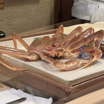 うを徳 - 島根松葉ガニ