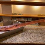 湖粋 - ヤガラーー