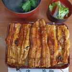 Unagi Irokawa - 