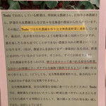 手作りハンバーグ工房Toshi - Toshiファーム紹介