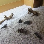 割烹旅館 若松 - お風呂のまえ