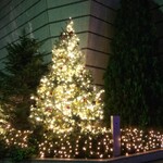 ザ・カハラ ホテル&リゾート 横浜 - 