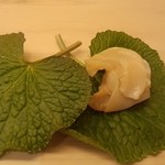 鮨 生粋 - つぶ貝。