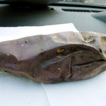 やきいも丸じゅん - 