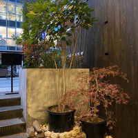 焼肉㐂舌 南船場 - 