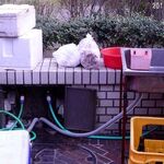 一二三 - 上下水道と電気がある