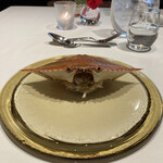 ウシマル - 九十九里産ワタリガニ