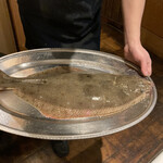 ウシマル - 本日のヒラメを見せにきてくれました