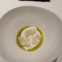 カンテサンス - 