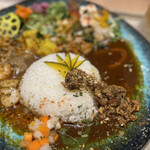 BOTANI：CURRY - 