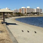 Homemade Ramen 麦苗 - 入店待ちの時間潰しで行った大森ふるさとの浜辺公園