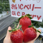 姫路ハートフル観光農園 - 