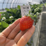 姫路ハートフル観光農園 - 