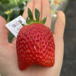 姫路ハートフル観光農園 - 