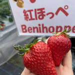 姫路ハートフル観光農園 - 