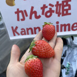 姫路ハートフル観光農園 - 