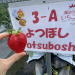 姫路ハートフル観光農園 - 