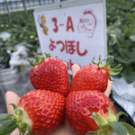 姫路ハートフル観光農園 - 