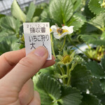 姫路ハートフル観光農園 - 