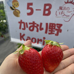 姫路ハートフル観光農園 - 