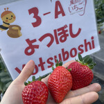 姫路ハートフル観光農園 - 